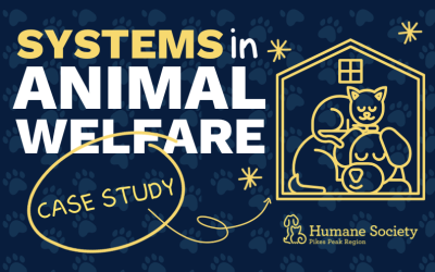 Systemizing Animal Welfare: How HSPPR Transformed their Operations