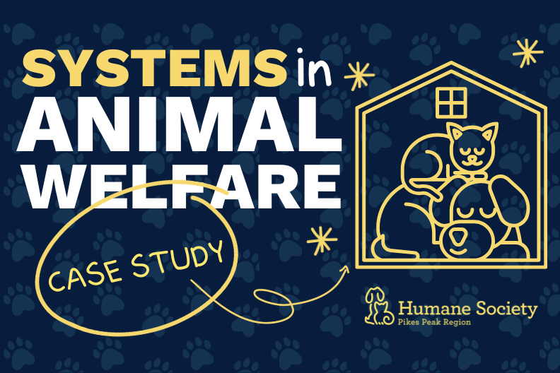 Systemizing Animal Welfare: How HSPPR Transformed their Operations